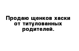 Продаю щенков хаски от титулованных родителей. 